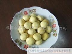 供应盐渍整形蘑菇
