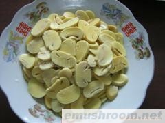 供应盐渍蘑菇片