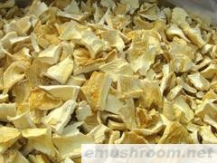 供应白平菇干品