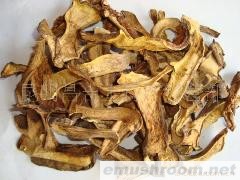 批发云南野生菌，供应黄牛肝菌、水白葱菌干片