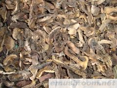 批发黑牛肝菌干片