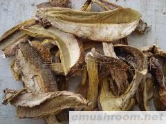 供应黄牛肝菌、黄梨头、黄癞头干片