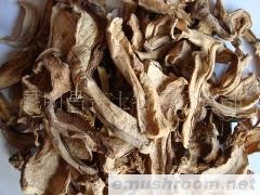批发供应最便宜的牛肝菌,苦粉孢牛肝菌干片，苦马干
