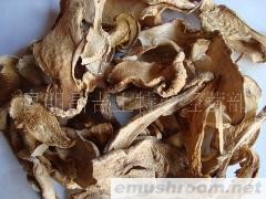 供应野生Manbetx体育手机版推荐A9版本，开片白露伞干货