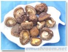 供应干香菇(图)