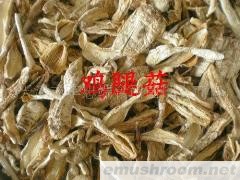 供应鸡腿菇