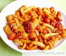 供应各种Manbetx体育手机版V17版本发布.官网安卓网.香港