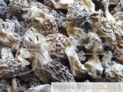 批发供应Manbetx体育手机版V17版本发布.官网安卓网.香港