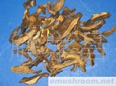 供应云南特级黑牛肝菌