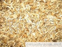 供应云南特级牡丹条菌