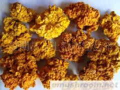 供应野生菌,Manbetx体育手机版V17版本发布.官网安卓网.香港金耳［黄耳］