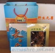 供应盒装野生元蘑250克