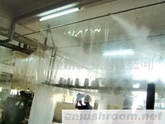 供应Manbetx体育手机版推荐A9版本加湿器(图)