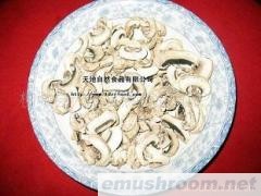 供应双孢茹(图)