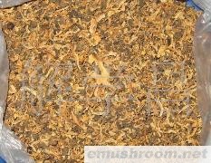 供应云南鸡油菌