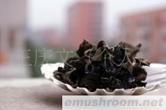 批发供应黑木耳
