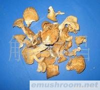 批发供应云南特级姬菇