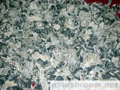 东北土特产 一级黑龙江木耳