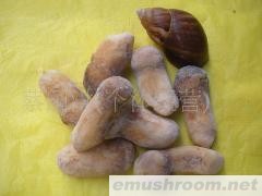 批发供应松茸菌，野生菌，ManBetX体育，土特产，酒店配送