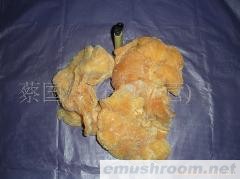 批发供应燕窝菌，野生菌，Manbetx体育手机版推荐A9版本，土特产，酒店配送