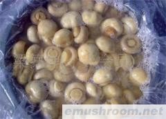供应盐水菇