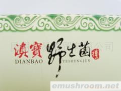 供应云南特产野生菌