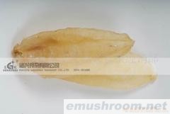 供应干货,礼品干货，食品