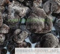 供应出口级速冻黑松露(图)