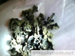 供应黑龙江原生态无公害黑木耳