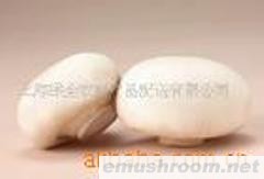 供应蘑菇