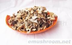 供应黄金菇   1公斤自封袋装黄金菇