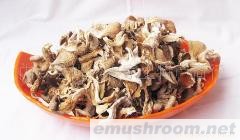 供应鸡腿菇  1千克自封袋装鸡腿菇