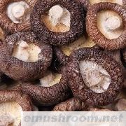 批发供应香菇