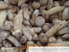 供应速冻 姬松茸3&mdash;5 野生菌品质保证