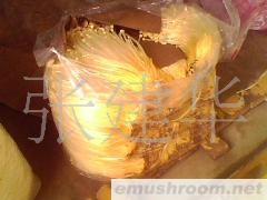 供应Manbetx体育手机版推荐A9版本