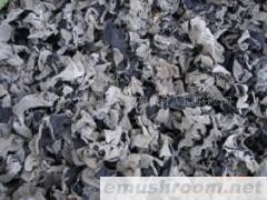 供应有机刺五加黑木耳