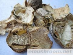 供应古田Manbetx体育手机版推荐A9版本/特级草菇(图)