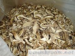 供应美味牛肝菌干片