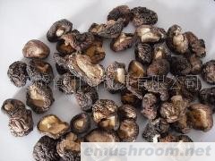 供应干香菇