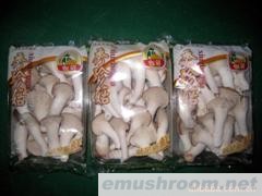 供应秀珍菇，Manbetx体育手机版V17版本发布.官网安卓网.香港(图)