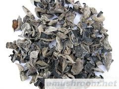 批发供应野生椴木黑木耳/老鼠耳/云耳