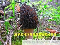批发供应2010年ManBetX体育新货