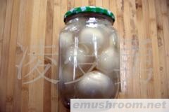 批发供应竹荪蛋 土特产 竹荪