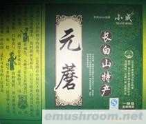 供应元蘑