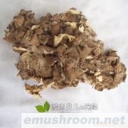 批发福建灰树花 灰花菇