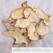 批发福建杏鲍菇