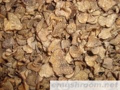 供应黑松露,块菌干品