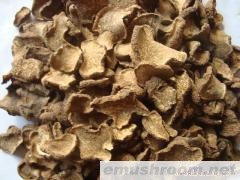 供应黑松露,块菌干品