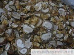 批发供应宜宾蜀南竹海土特产 竹荪（竹荪蛋）