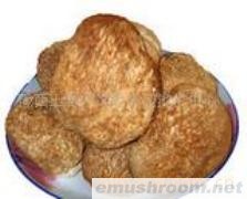 批发供应天然猴头菇